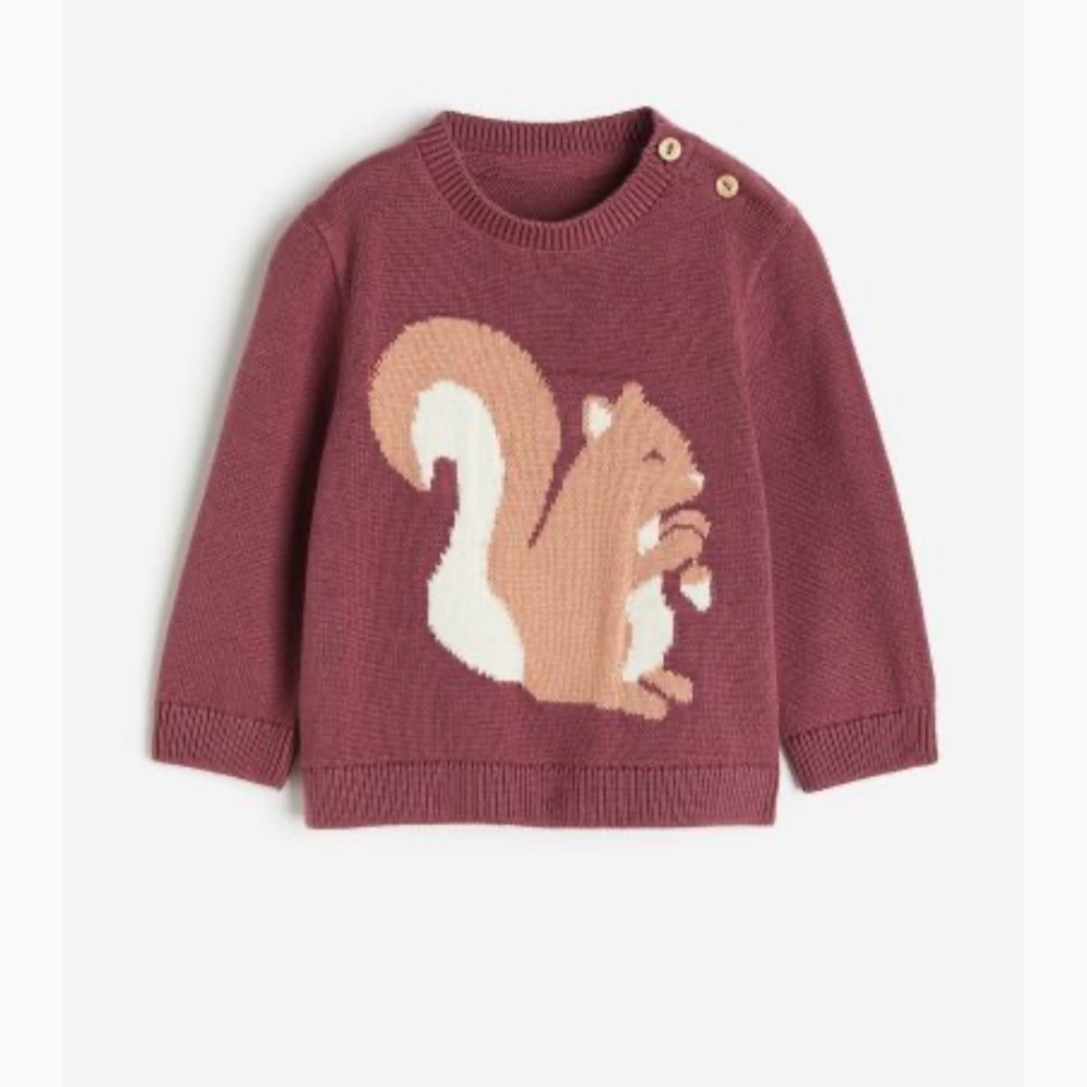 H&M Squirrel Sweater